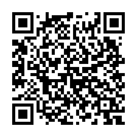 QR code for plate B97-65R