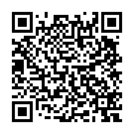 QR code for plate BAK-419