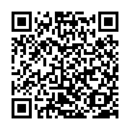 QR code for plate BEI-209