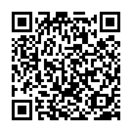 QR code for plate BEU-519
