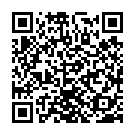 QR code for plate BFX-638