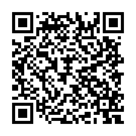 QR code for plate BGX-505
