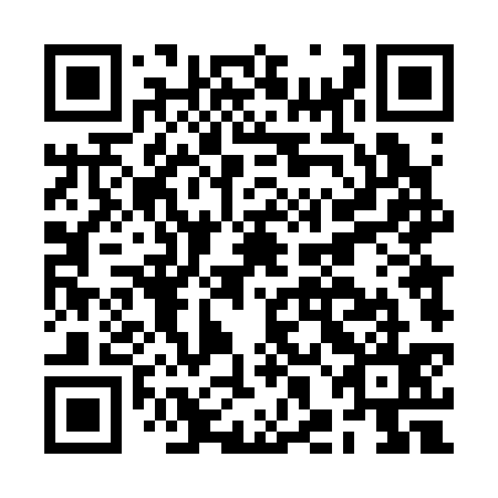 QR code for plate BHD-335