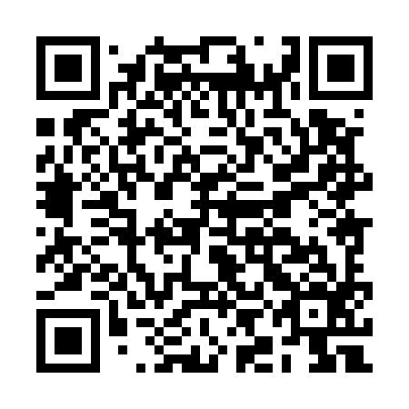 QR code for plate BIH-596
