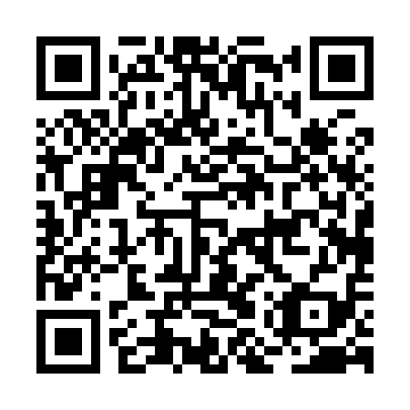 QR code for BMP-919