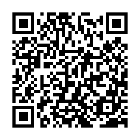 QR code for plate BNT-462
