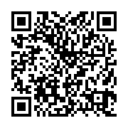 QR code for plate BQB-161