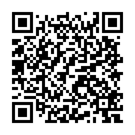 QR code for BSI509