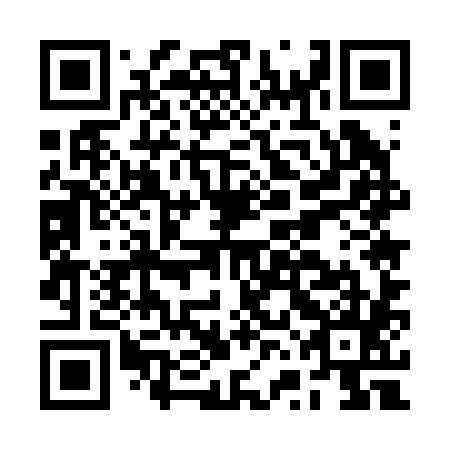 QR code for plate BVE-285