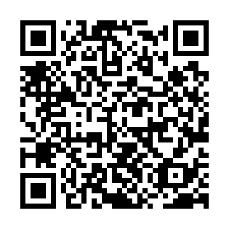 QR code for plate BWL-738