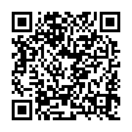 QR code for plate BXN-393