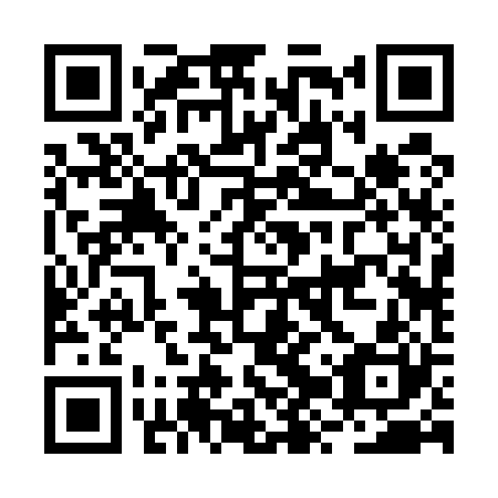 QR code for plate BZR-520