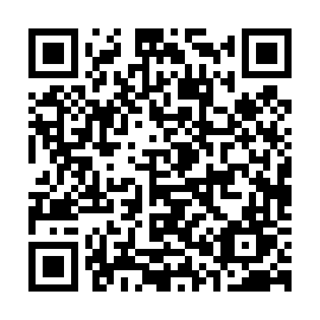 QR code for C0046T