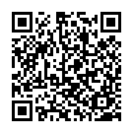 QR code for C03-46T