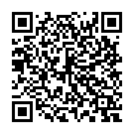 QR code for C0315P