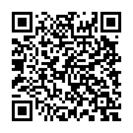 QR code for plate C04-01L