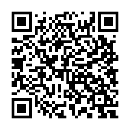 QR code for plate C04-16M