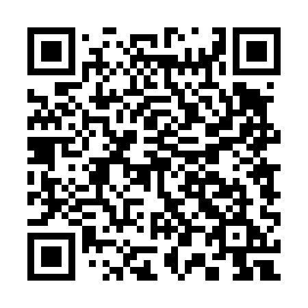 QR code for plate C04-41E