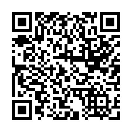 QR code for plate C04-94V
