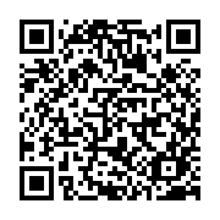QR code for C19-80L