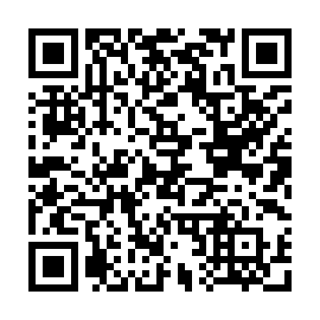 QR code for plate C28-99R