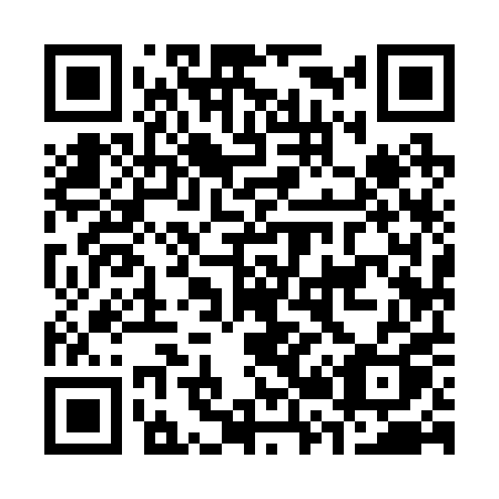 QR code for C29-20Q
