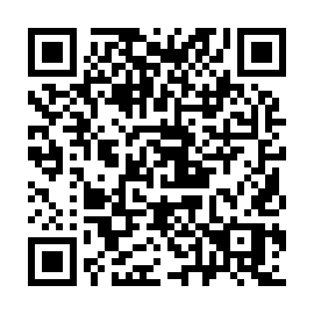 QR code for plate C41-95P