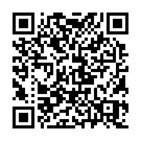 QR code for plate C45-36P