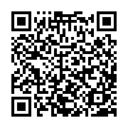 QR code for C50-39S