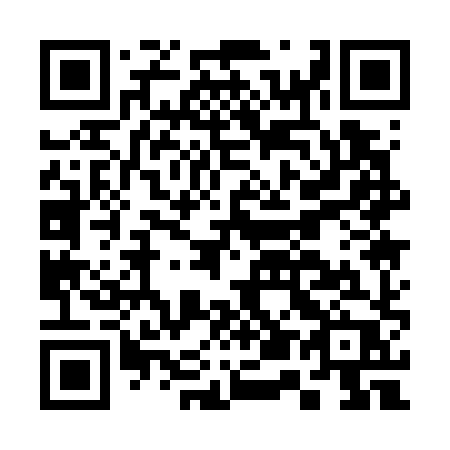 QR code for plate C51-78P