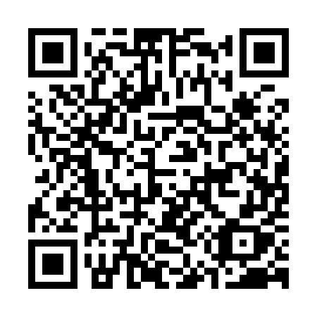QR code for plate C51-95X