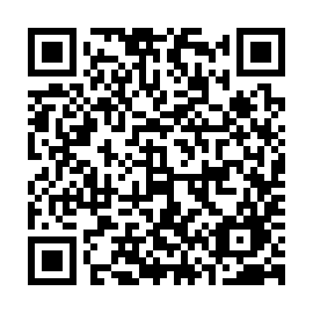 QR code for plate C63-39G