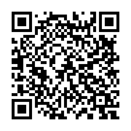 QR code for C6387V