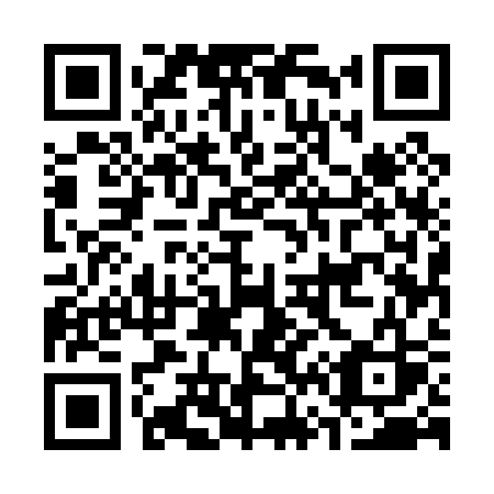 QR code for C65-03S