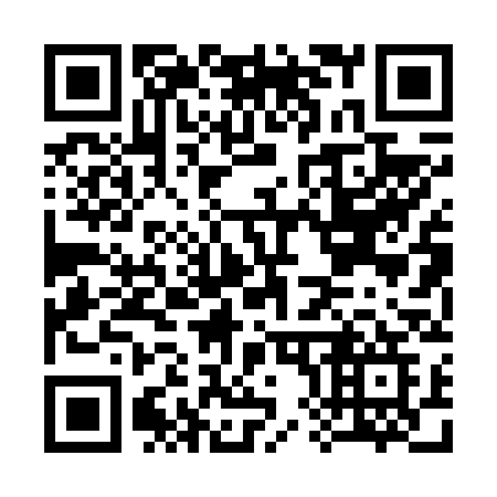 QR code for plate C80-63G