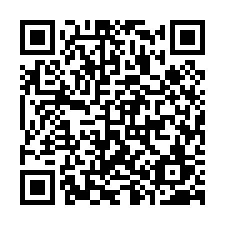 QR code for plate C85-03V