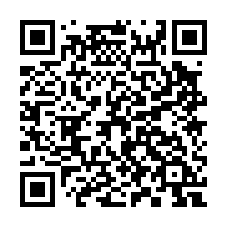 QR code for plate C91-01F