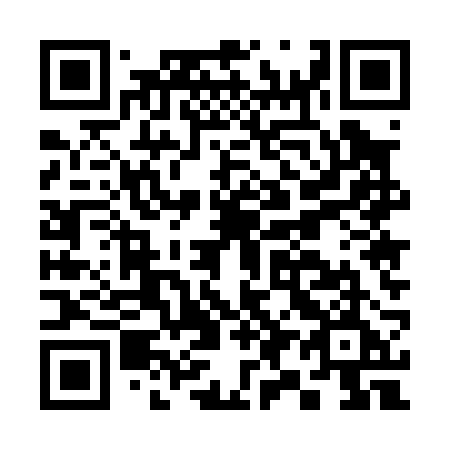 QR code for C95-02E