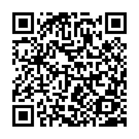 QR code for C95-06Z