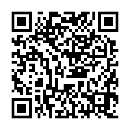 QR code for CAV370