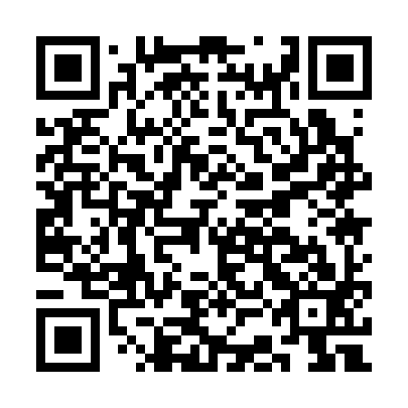 QR code for CCA393