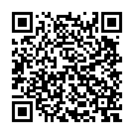 QR code for CEO-441