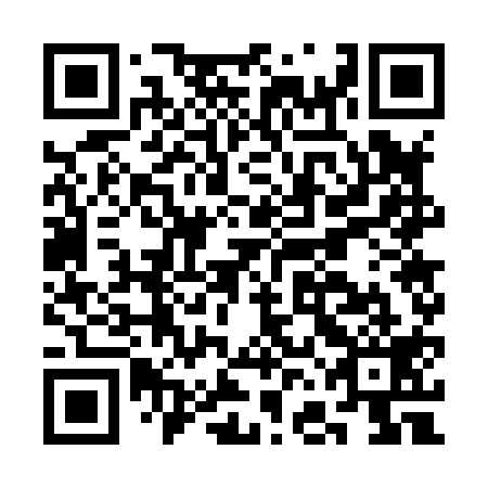 QR code for plate CFG-819