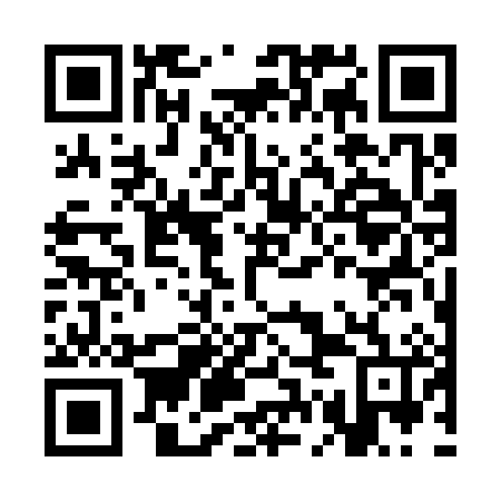 QR code for CGG386