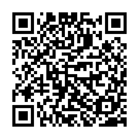 QR code for CHI-155