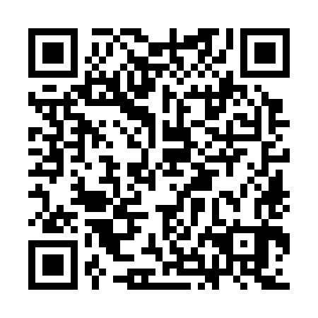QR code for plate CHO-383