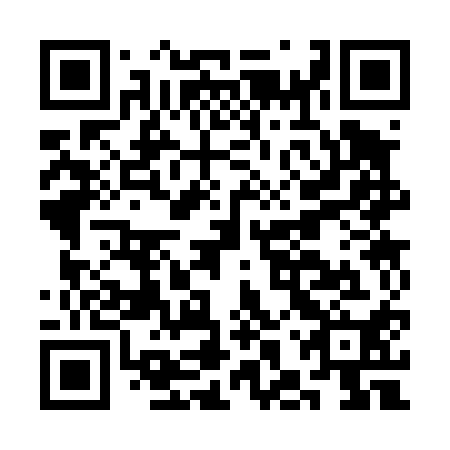 QR code for plate CHS-410