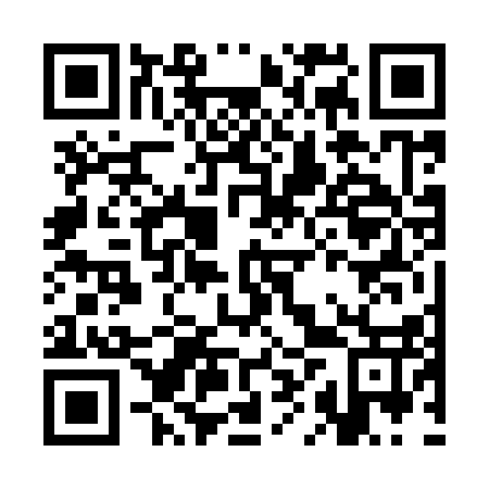 QR code for CHV-917