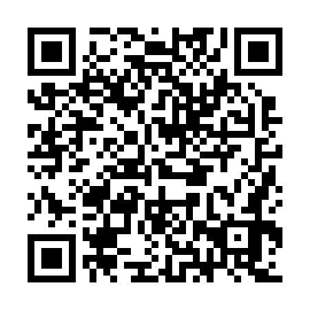 QR code for plate CHZ-272