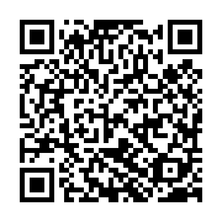 QR code for plate CHZ-409